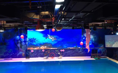 杜拜海洋館P6戶外防水LED顯示屏